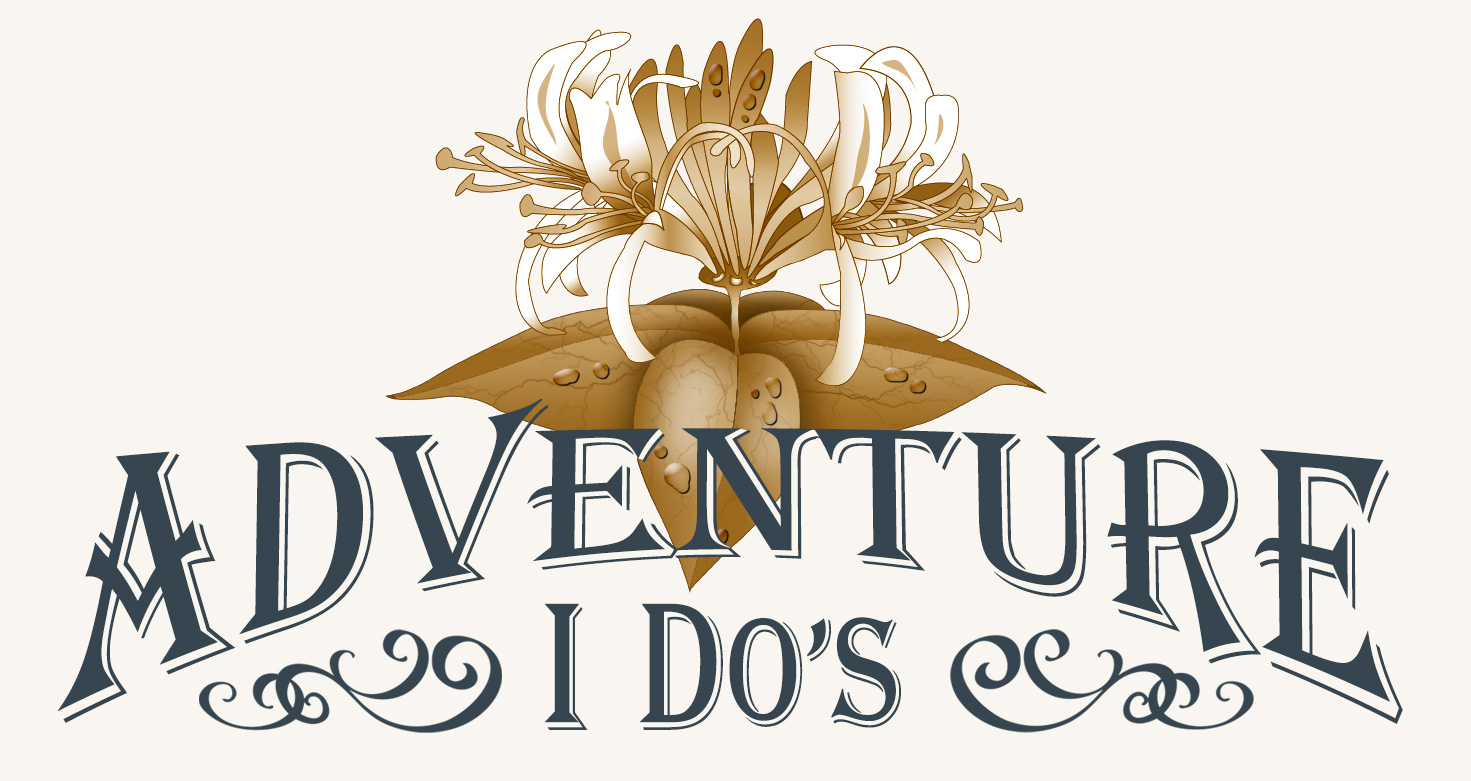 adventure-idos-logo-blue